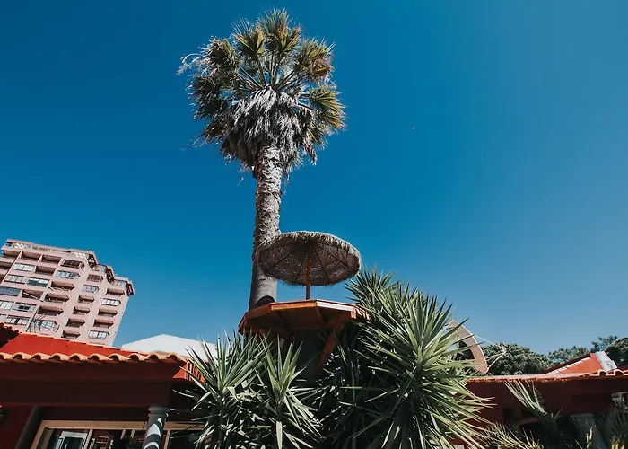 Хостел 7 Waves Surf *