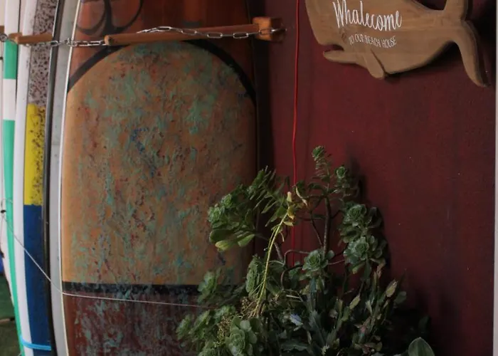 7 Waves Surf Алмада